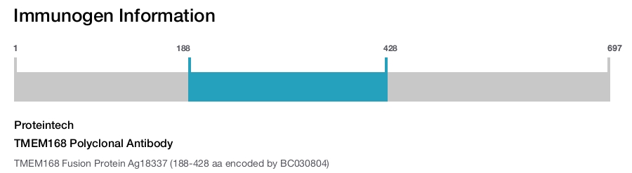 TMEM168 Polyclonal Antibody