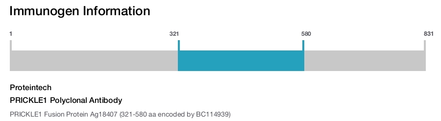 PRICKLE1 Polyclonal Antibody