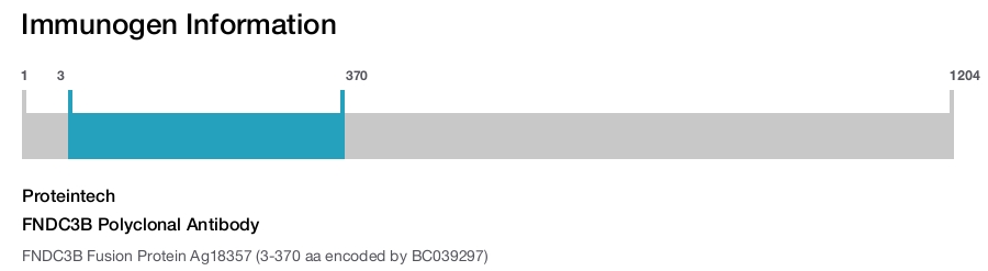 FNDC3B Polyclonal Antibody