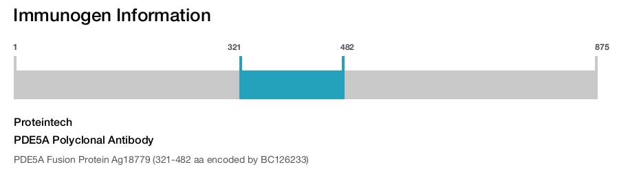 PDE5A Polyclonal Antibody