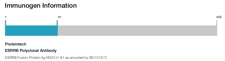 ESRRB Polyclonal Antibody