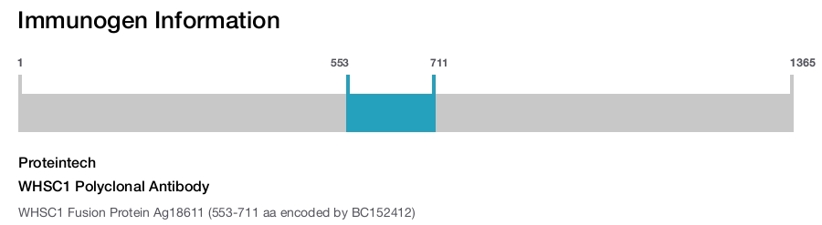 WHSC1 Polyclonal Antibody