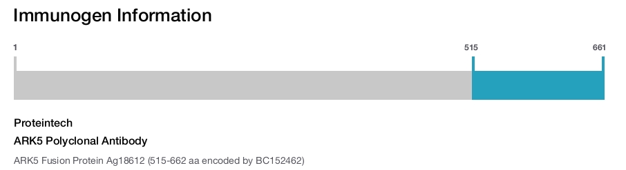 ARK5 Polyclonal Antibody