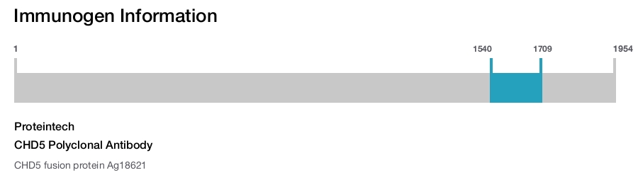 CHD5 Polyclonal Antibody