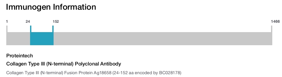 Collagen Type III (N-terminal) Polyclonal Antibody