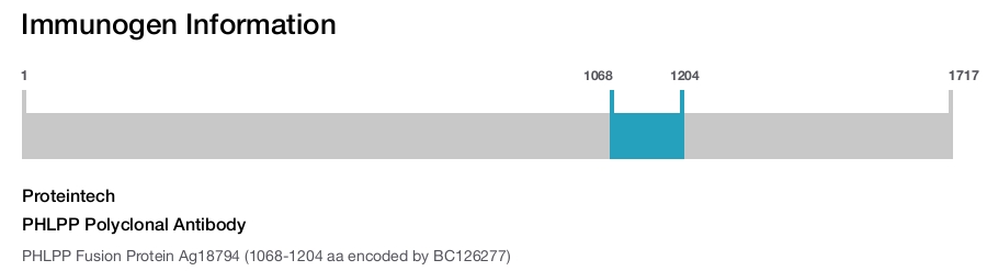 PHLPP Polyclonal Antibody