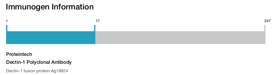 Dectin-1 Polyclonal Antibody