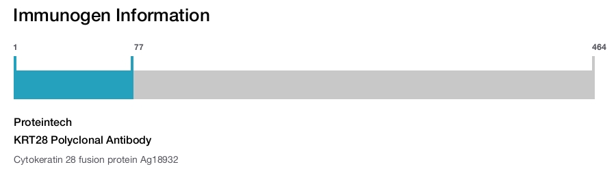 KRT28 Polyclonal Antibody