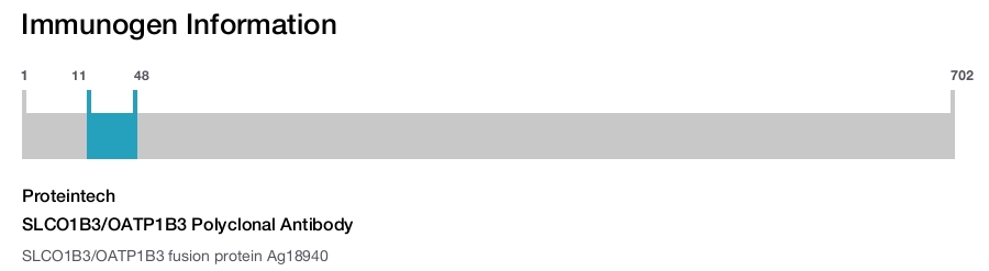 SLCO1B3/OATP1B3 Polyclonal Antibody