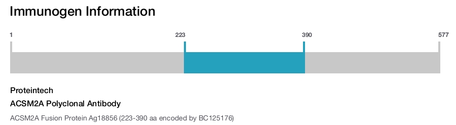 ACSM2A Polyclonal Antibody