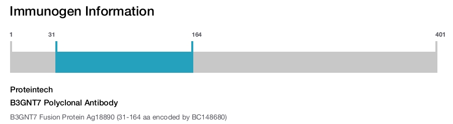 B3GNT7 Polyclonal Antibody
