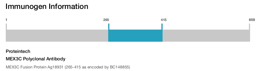 MEX3C Polyclonal Antibody
