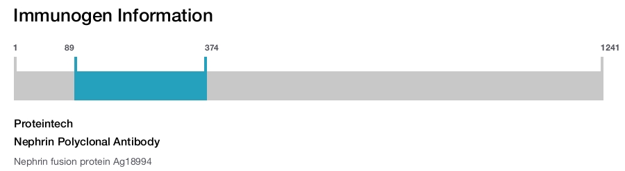 Nephrin Polyclonal Antibody