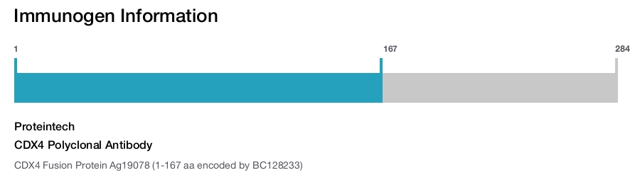 CDX4 Polyclonal Antibody