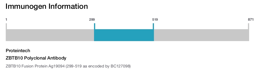 ZBTB10 Polyclonal Antibody