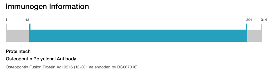 Osteopontin Polyclonal Antibody