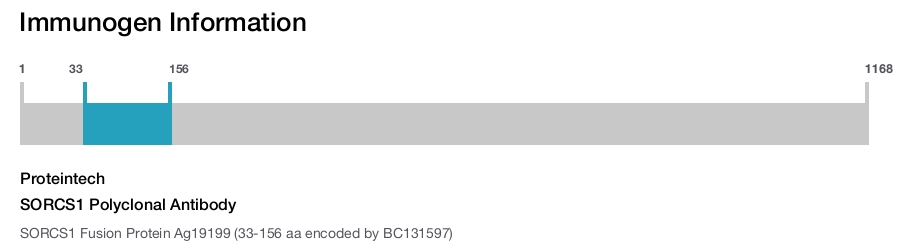 SORCS1 Polyclonal Antibody