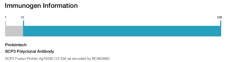 SCP3 Polyclonal Antibody