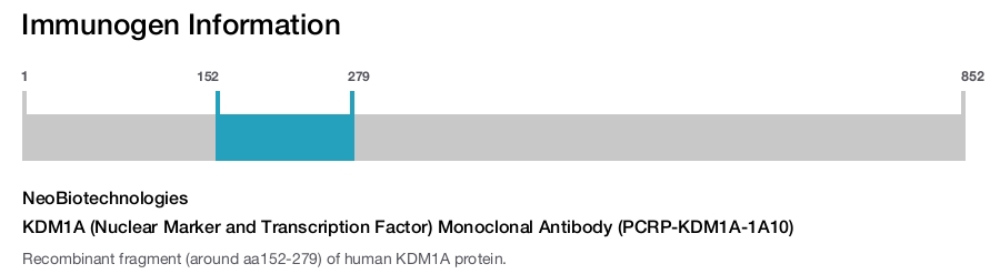 KDM1A (Nuclear Marker and Transcription Factor) Monoclonal Antibody (PCRP-KDM1A-1A10)