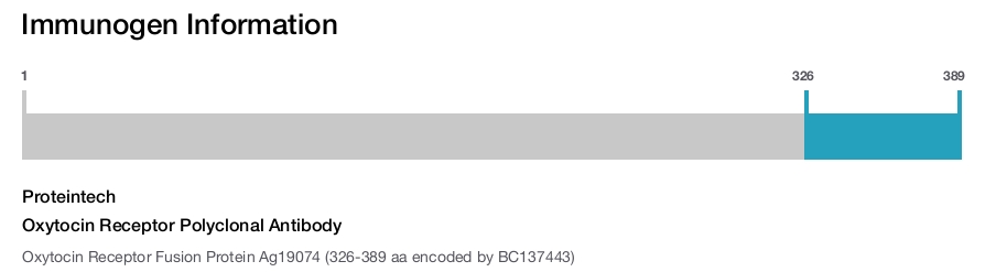 Oxytocin Receptor Polyclonal Antibody