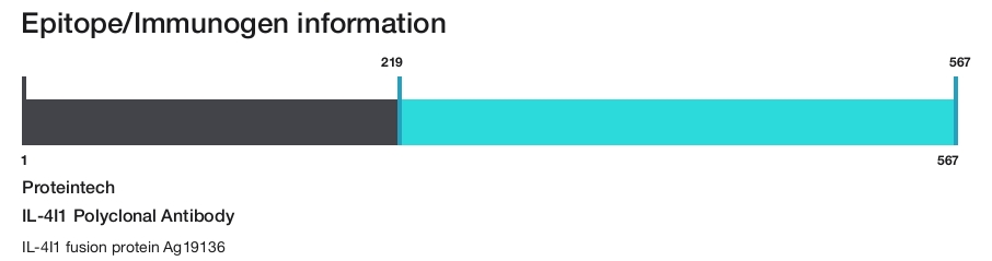 IL-4I1 Polyclonal Antibody
