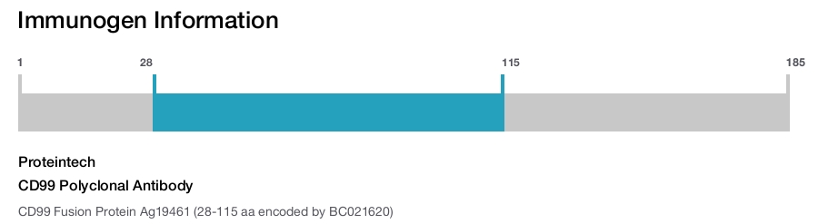 CD99 Polyclonal Antibody