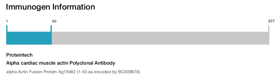 Alpha cardiac muscle actin Polyclonal Antibody