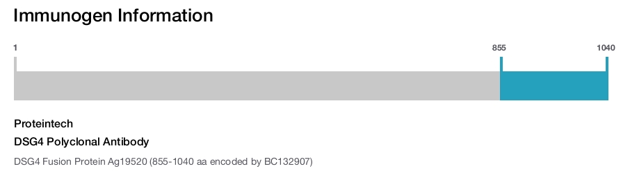 DSG4 Polyclonal Antibody