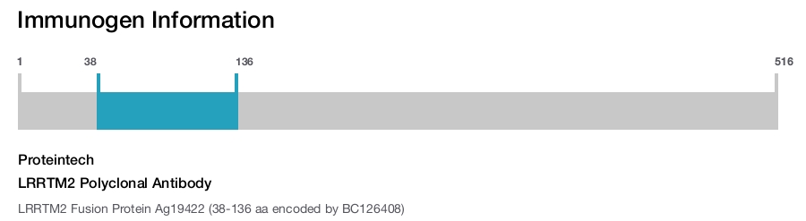 LRRTM2 Polyclonal Antibody