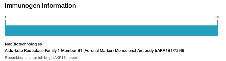 Aldo-keto Reductase Family 1 Member B1 (Adrenal Marker) Monoclonal Antibody (rAKR1B1/7296)