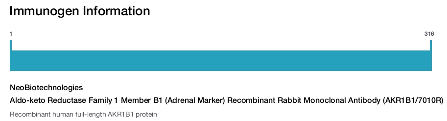 Aldo-keto Reductase Family 1 Member B1 (Adrenal Marker) Recombinant Rabbit Monoclonal Antibody (AKR1B1/7010R)