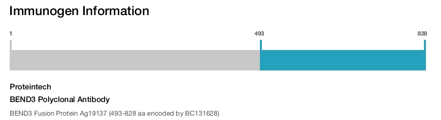 BEND3 Polyclonal Antibody