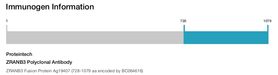 ZRANB3 Polyclonal Antibody