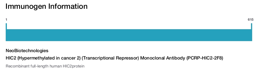 HIC2 (Hypermethylated in cancer 2) (Transcriptional Repressor) Monoclonal Antibody (PCRP-HIC2-2F8)