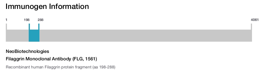 Filaggrin Monoclonal Antibody (FLG, 1561)