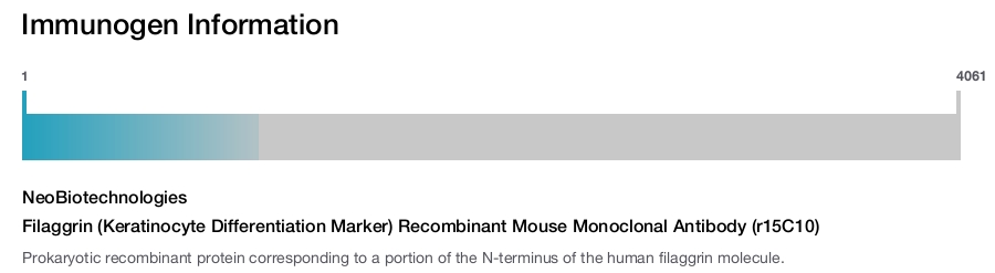 Filaggrin (Keratinocyte Differentiation Marker) Recombinant Mouse Monoclonal Antibody (r15C10)