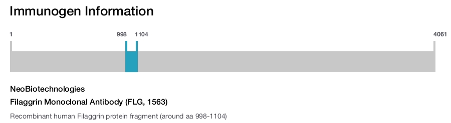 Filaggrin Monoclonal Antibody (FLG, 1563)