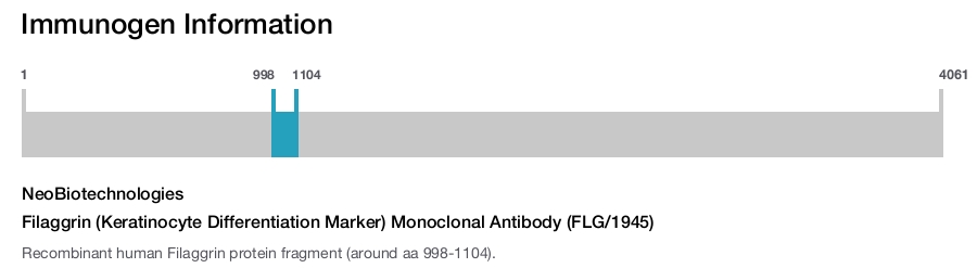 Filaggrin (Keratinocyte Differentiation Marker) Monoclonal Antibody (FLG/1945)