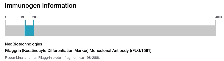 Filaggrin (Keratinocyte Differentiation Marker) Monoclonal Antibody (rFLG/1561)
