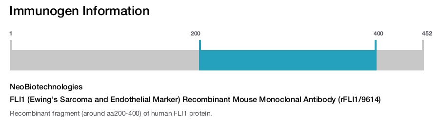 FLI1 (Ewing's Sarcoma and Endothelial Marker) Recombinant Mouse Monoclonal Antibody (rFLI1/9614)