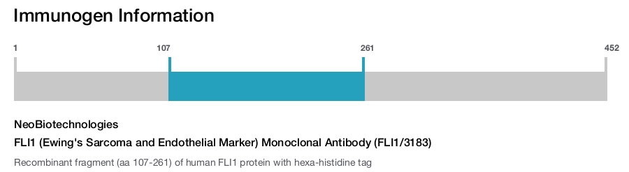 FLI1 (Ewing's Sarcoma and Endothelial Marker) Monoclonal Antibody (FLI1/3183)