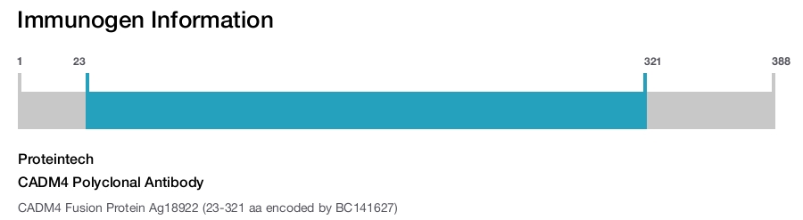 CADM4 Polyclonal Antibody