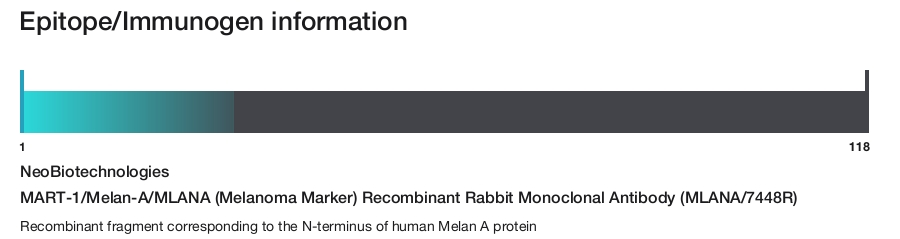MART-1/Melan-A/MLANA (Melanoma Marker) Recombinant Rabbit Monoclonal Antibody (MLANA/7448R)