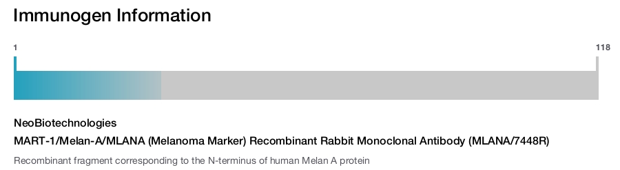 MART-1/Melan-A/MLANA (Melanoma Marker) Recombinant Rabbit Monoclonal Antibody (MLANA/7448R)