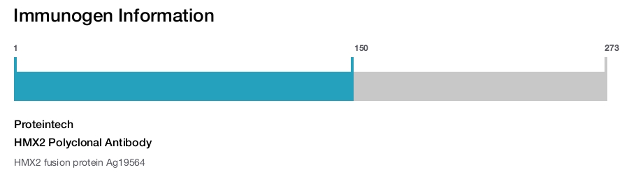 HMX2 Polyclonal Antibody