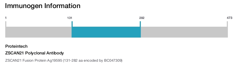ZSCAN21 Polyclonal Antibody