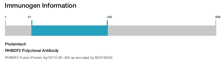 RHBDF2 Polyclonal Antibody