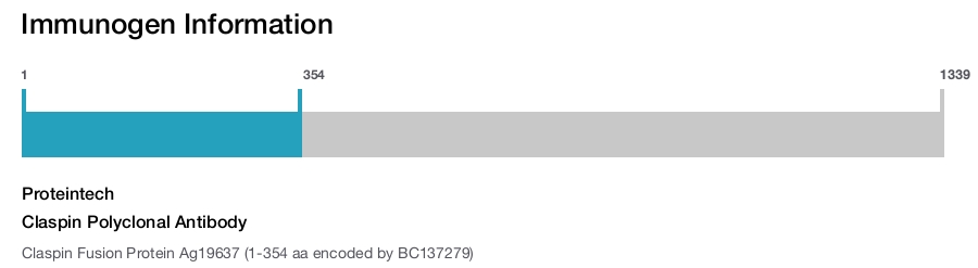 Claspin Polyclonal Antibody
