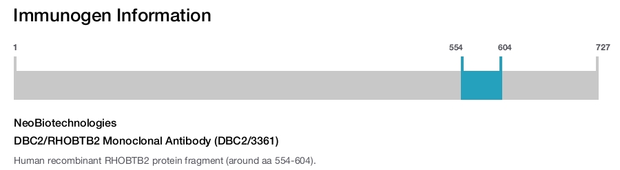DBC2/RHOBTB2 Monoclonal Antibody (DBC2/3361)
