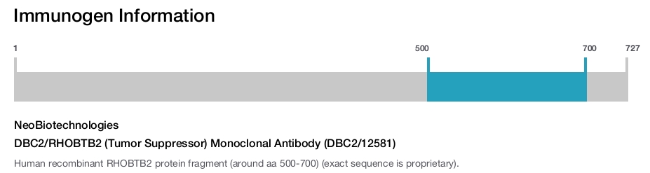 DBC2/RHOBTB2 (Tumor Suppressor) Monoclonal Antibody (DBC2/12581)
